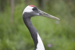 185969 B