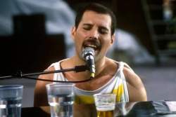 24286 B