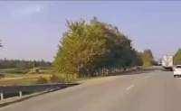 831499 B
