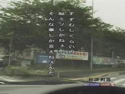 55529 B