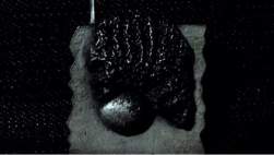 23306 B