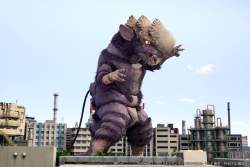 202290 B