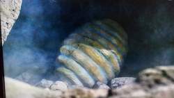 142534 B