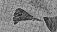 1682745 B