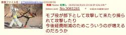 132767 B