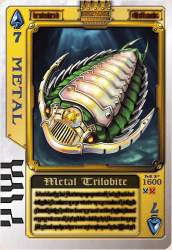 343007 B