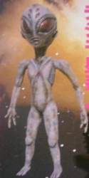 17206 B
