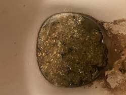 2508781 B